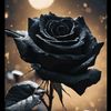 dima.osama488