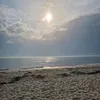 rosaliee1008
