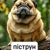 akvi4_888