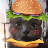 catlopixb4b