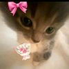 kinn_putri344