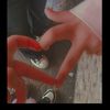 shimaa0958