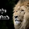 Độc Hành