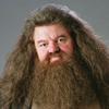 realhagrid