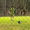 kevin_des4