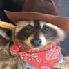daggerdawg