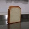 tryingtomaketoastpopular