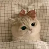 miss_azhanta