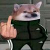 shadow.meme55772508