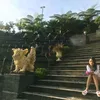 cilaajah7