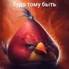 fimozik_84
