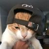 irwan.fadli5