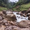 phak_buri