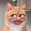 ayam.kejepit5