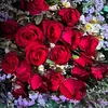 floryden
