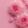 su.linh08