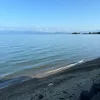 yanike27