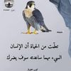 sabrrra3