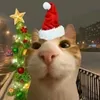 merry_chrismas_0