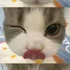 phan_tran_kieu_oanh