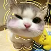 lialovers_7.3