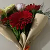 khabibe872