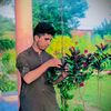 subhan_ali.77
