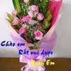 hai.vo.minh0
