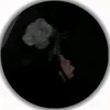rrrogcrogfdflk