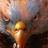 user9183228601057