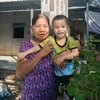 phamoanhtv