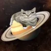 meowl607