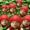 aoop1234556