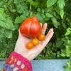 thegardenora
