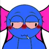 shihira.nekk