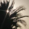 user76612029031176