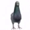 user8126622900581
