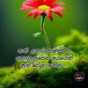 chuttiputha1