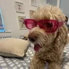 bea.fitzpatrick_0208