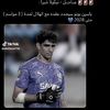 user4881048650279