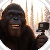 ai.clipz..s