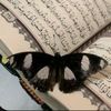user93017577979885