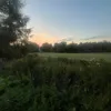 amy_h1ll