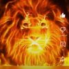 mohammad.ashalim