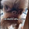 flvio.pedro74
