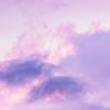 2025_purple40
