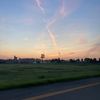 gannon8046
