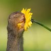 fashioninnature