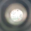 demp572