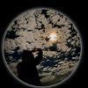 ali.hamza72041